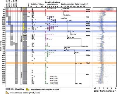 West Antarctic Ice Sheet Dynamics in the Amundsen Sea Sector since the Late Miocene—Tying IODP Expedition 379 Results to Seismic Data